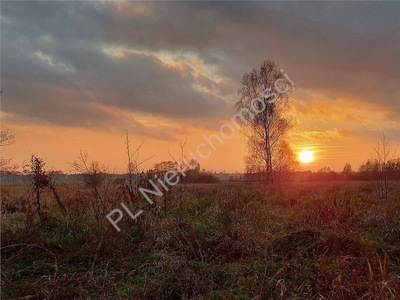 Działka, Helenów, Wołomin (gm.), 3000 m²