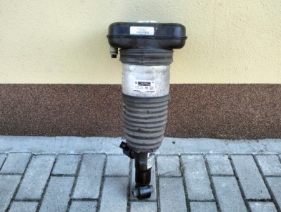 Амортизатор передній перед правий bmw x7 g07 фото №1