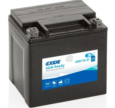 BATERÍA 30AH/430A 12V AGM SLA12-31 YIX30L  