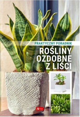 Rośliny ozdobne z liści. Poradnik praktyczny