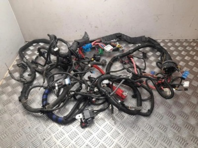 Джгут передніх лівих двері tesla p248905801b 2022 фото №1