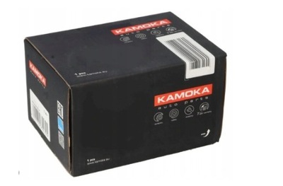 SKERSINIS VAIRO KAMOKA 995719 