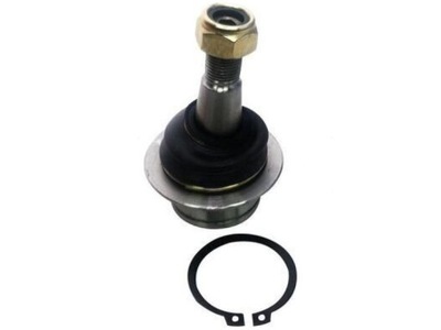 8/5000 PERNA PALANCA FORD TRANSIT 2.0-2.4 00-06 CONNECT 1.8 02-13  