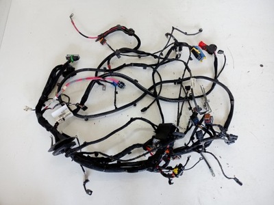 Електропроводка відсік двигуна renault fluence ze 403882307r фото №1