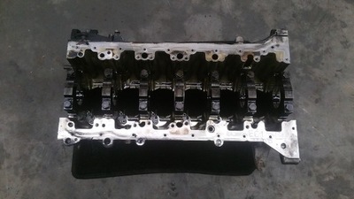 Блок двигуна bmw e60 фото №1