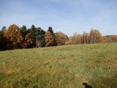 Działka, Paszyn, Chełmiec (gm.), 2021 m²