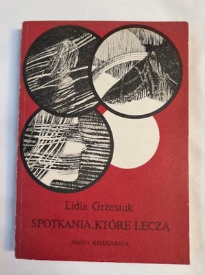 Spotkania, które leczą Lidia Grzesiuk