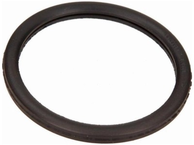 Прокладка термостата renault trafic ii laguna iii avantime vel satis фото №1