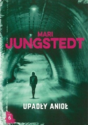 Mari Jungstedt - Upadły anioł