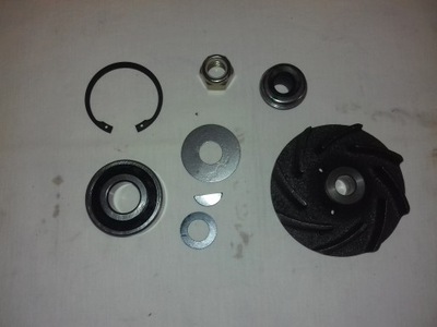 Набор ремонтный насоса wody renault magnum major r фото №1