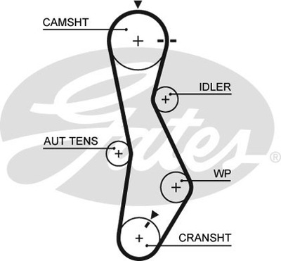5579xs gates ремень распределительного вала фото №1