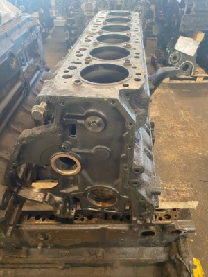 Голий блок двигуна man d2865 320km 290km фото №1