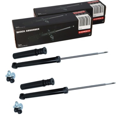 Амортизатори задня x2 dacia logan 04- / sandero 08- фото №1