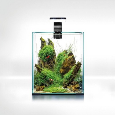 Aquael Shrimp Set 20L Czarny Day/Night 25x25x30cm