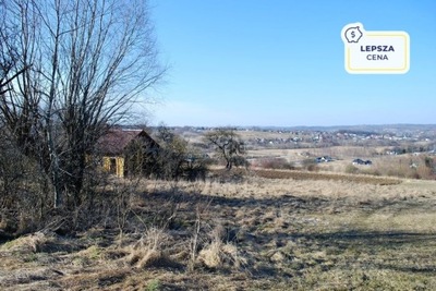Działka, Gnojnik, Gnojnik (gm.), 28300 m²