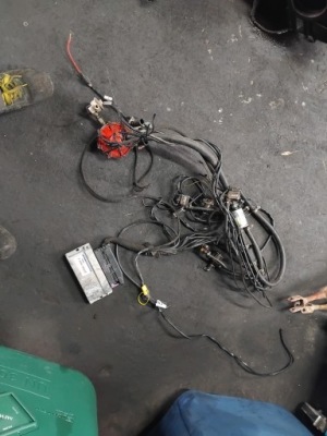 Ac stag-300-6 електропроводка lpg передня частина фото №1