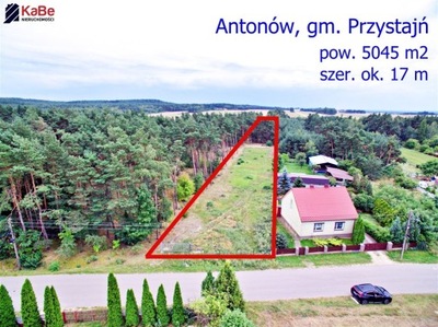 Działka, Antonów, 5045 m²