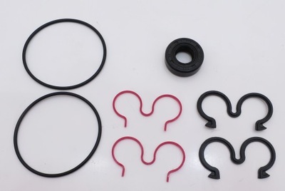 CASSAPPA PLP10 SEAL KIT**