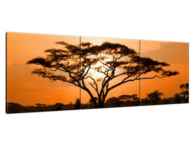 Obraz drukowany 150x50cm Pejzaż afrykański