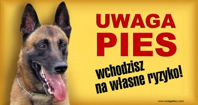 OWCZAREK BELGIJSKI malinois tabliczka