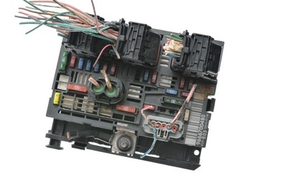 Модуль bsm berlingo 9666700480 bsm-r05 фото №1