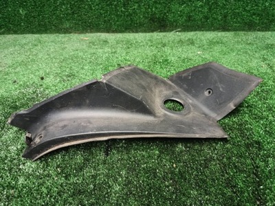 Opel ampera захист лампи лівий задня 20924114 фото №1