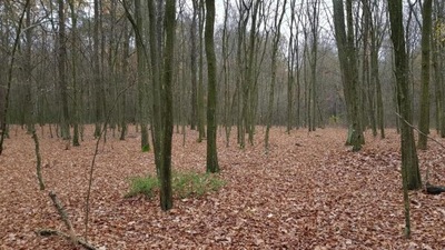 Działka, Samoklęski, 5800 m²