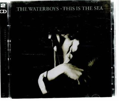 2XCD The Waterboys - This Is The Sea