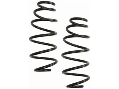 Пружины перед kyb ra1075 фото №1