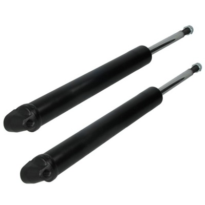 Амортизатори перед smart fortwo cabrio roadster фото №1