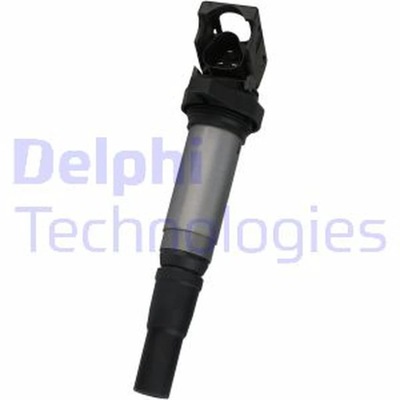 RITĘ UŽDEGIMO DELPHI GN10572-12B1 