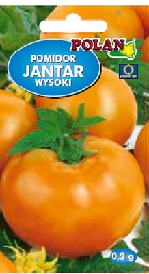 Pomidor gruntowy wysoki JANTAR żółto-pomarańczowy 0,2g nasiona Polan