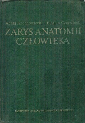 Zarys anatomii człowieka