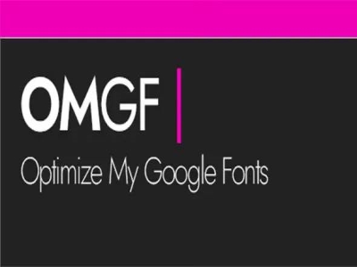 Wtyczka OMGF Pro Host Google Fonts Locally for WordPress