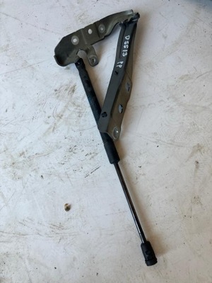 Петля капот citroen ds5 правий kzcd фото №1