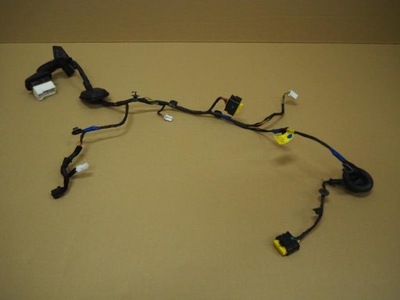 Електропроводка двері правий перед hyundai i30 i фото №1