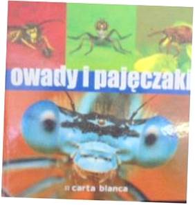 Owady i pajęczaki - Michał Grabowski