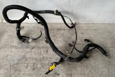 Джгут електропроводка двигуна citroen c5 iii 3.0 hdi фото №1