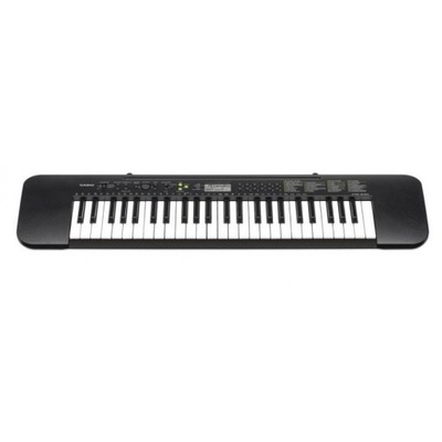 Casio CTK-240 keyboard