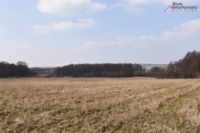 Działka, Stare Kawkowo, 80500 m²