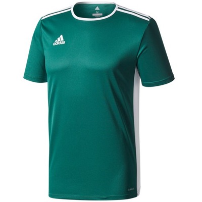 XS Koszulka męska adidas Entrada 18 Jersey zielona CD8358 XS