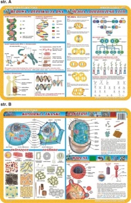 Podkładka edukacyjna Mikrobiologia