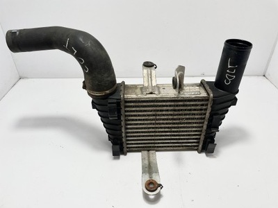 A6390900414 радіатор інтеркулер smart фото №1