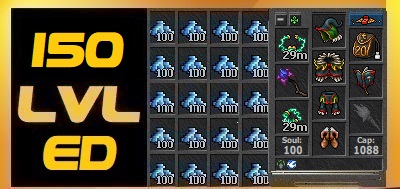 TIBIA 150 LVL ED DRUID LUTABRA +1KK GOLD + FULL EQ + MOUNT OUTFITS