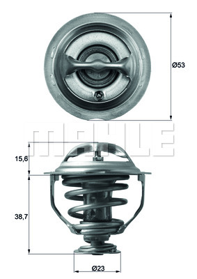 TERMOSTATY AUTOMOBILINIAI MAHLE TX 117 95D 