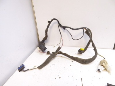 Renault scenic ii джгут електропроводка колодка штекер двері задня ліва фото №1