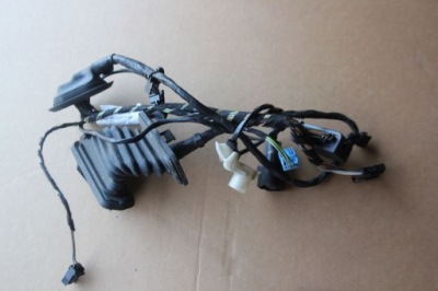 Джгут двері задня лівий vw tiguan 5n0971693n фото №1