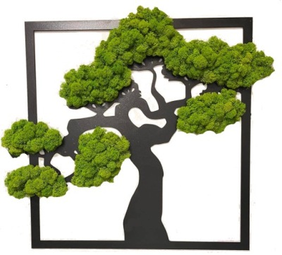 Drzewko bonsai Mech Chrobotek 60 cm