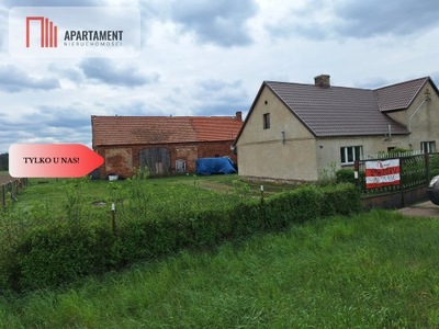 Dom, Boraszyce Wielkie, Wińsko, Wołowski, 100 m²