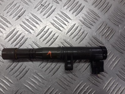 Катушка зажигания renault scenic ii 1.6 7700875000 фото №1